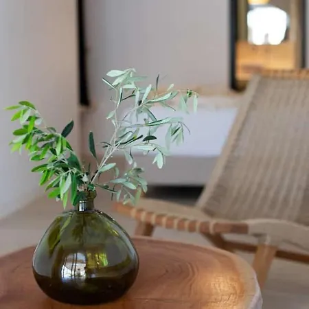 Levantes House Mykonos Ano Mera Exterior photo