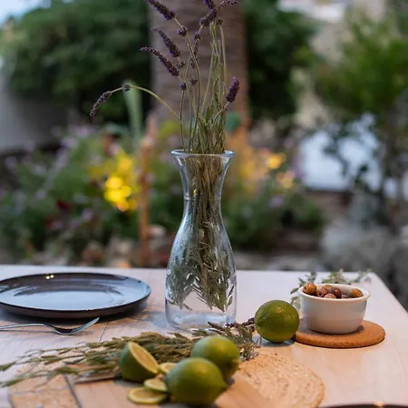 Levantes House Mykonos Ano Mera Exterior photo