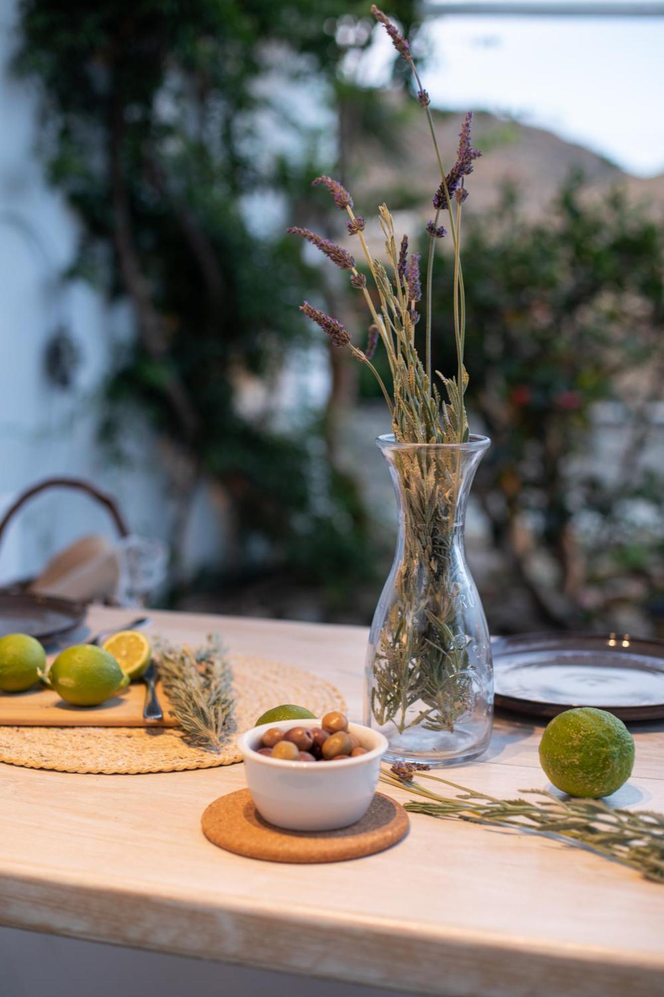 Levantes House Mykonos Holiday home