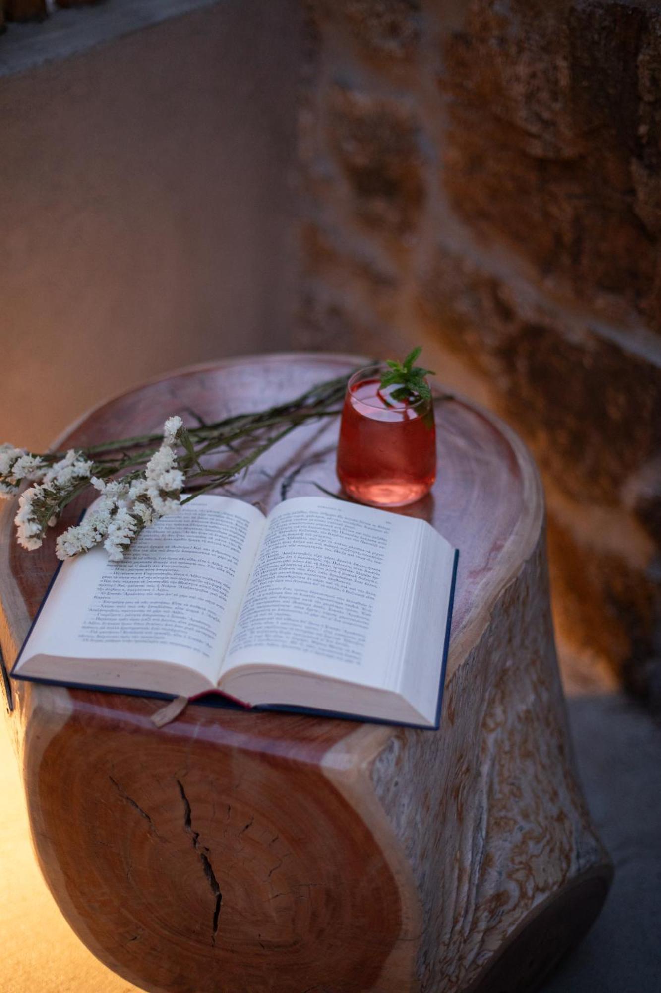 Levantes House Mykonos Prázdninový dům