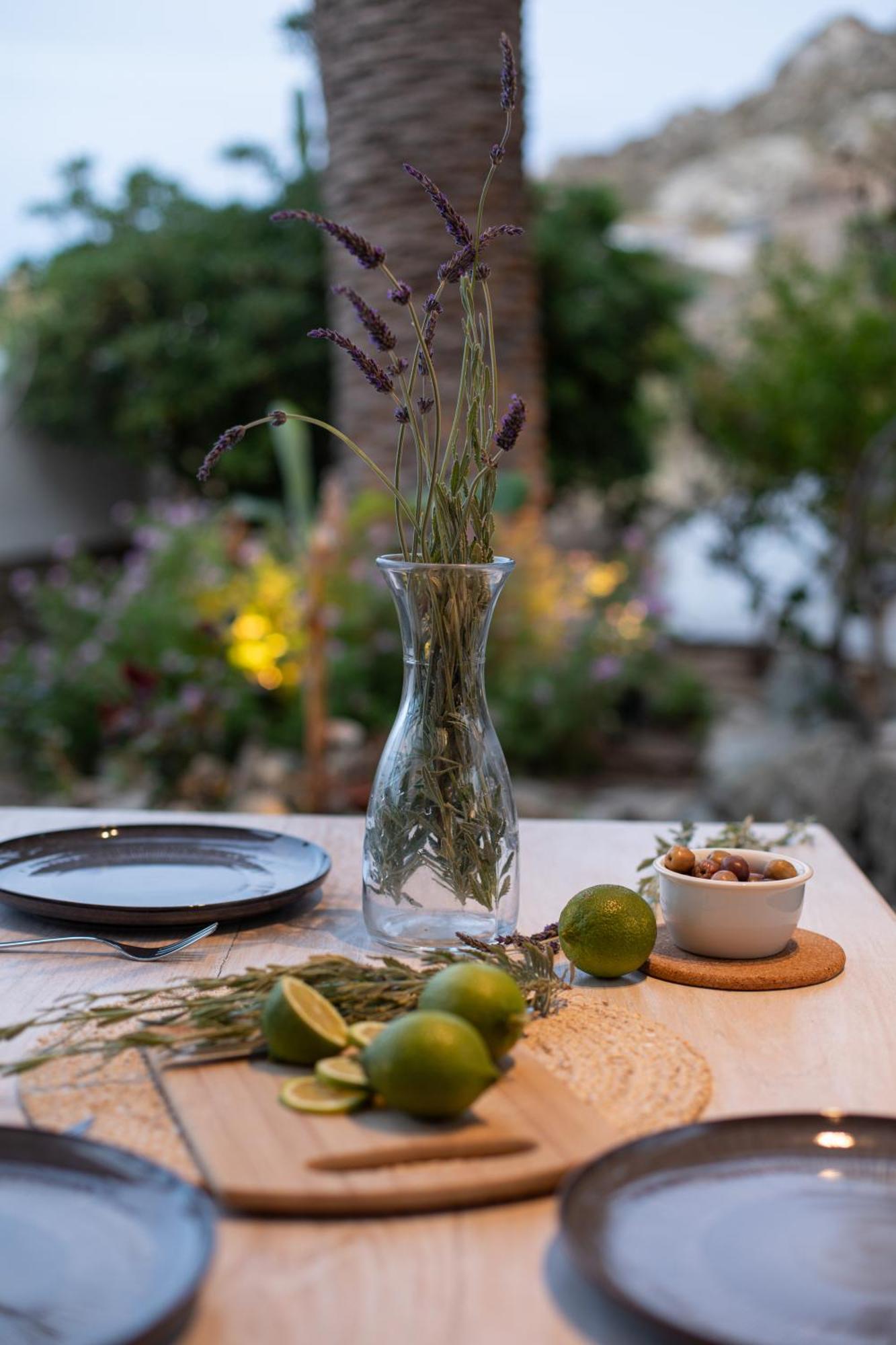 Levantes House Mykonos Holiday home *